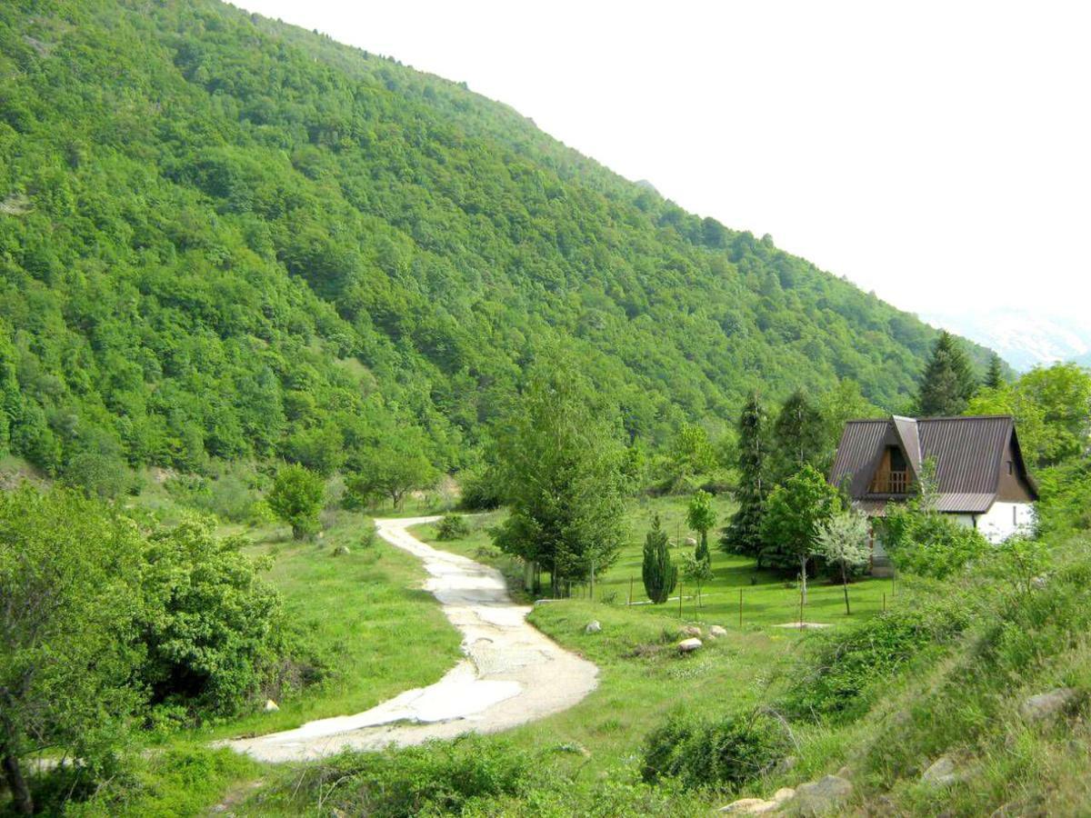 Villa Orka Pelister - Forest Zone 비톨라 외부 사진